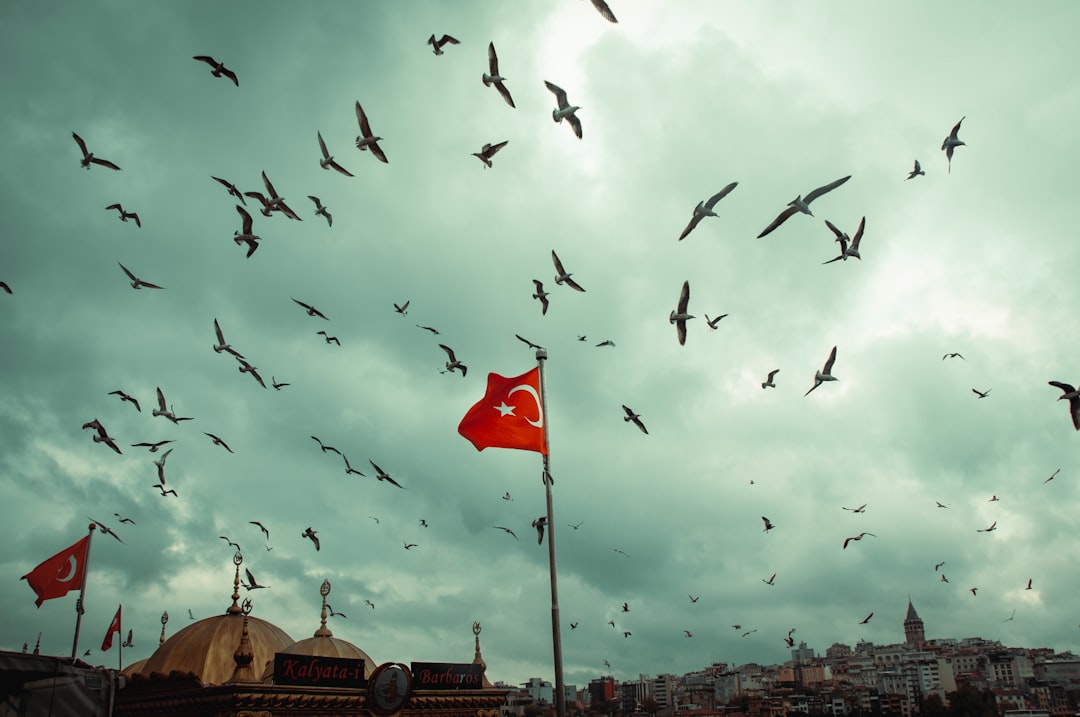 Türkiye’nin Efsaneleri: Şehir Efsanelerinden Gerçek Hikayelere