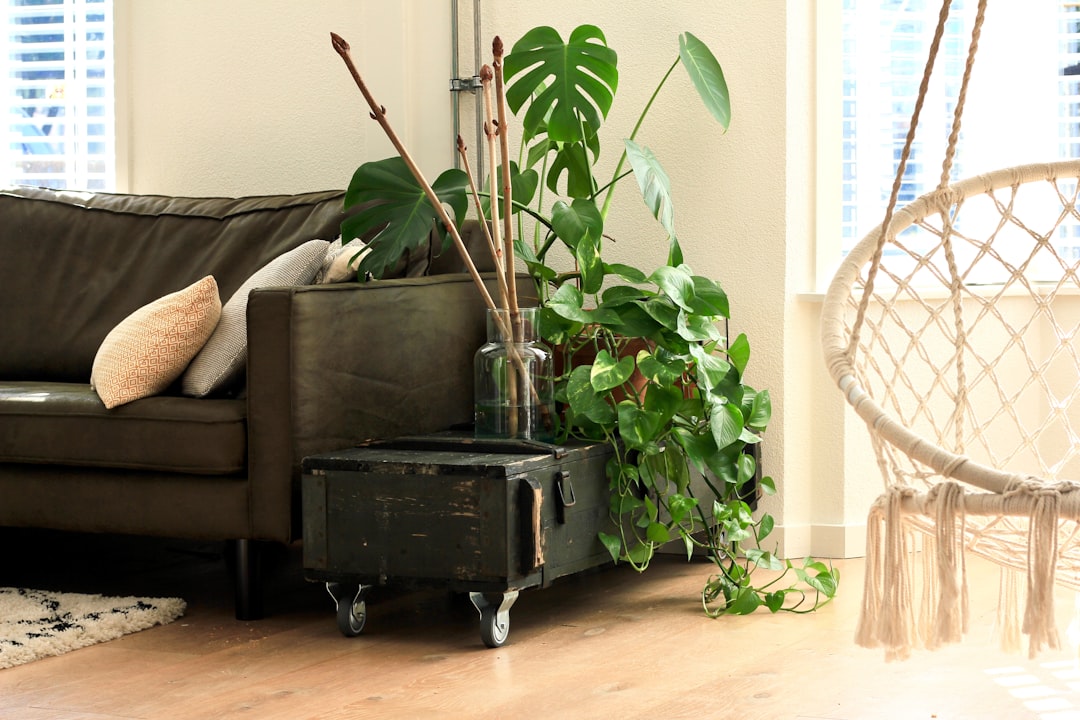 Sürdürülebilir Yaşam: Evde Kolayca Uygulanabilecek Eco-Friendly Alışkanlıklar
