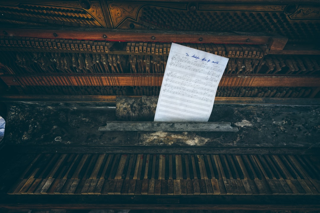 Türkiye’nin Saklı Müzik Hazineleri: Yerel Ezgilerin Peşinde Bir Keşif Yolculuğu