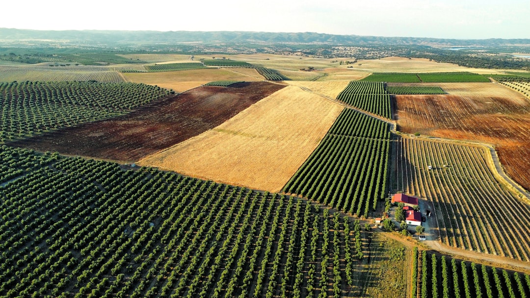 Türkiye’de Geleceğin Tarım Teknolojileri ve Akıllı Çiftlik Uygulamaları