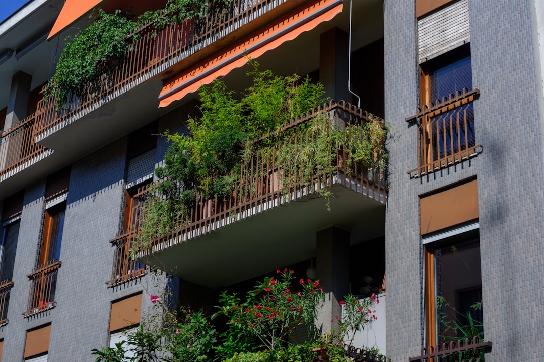 Şehir Hayatında Doğaya Dönüş: Balkon Bahçeciliği ile Hayatınıza Yeşil Bir Dokunuş Katın