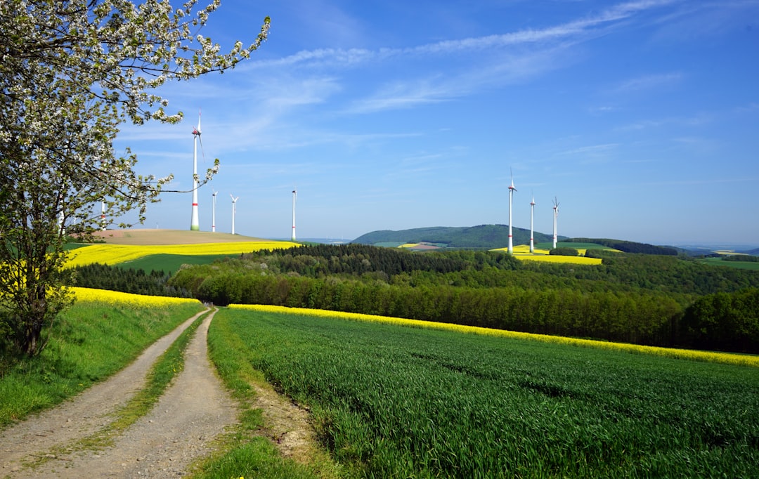 Geleceğin Yenilenebilir Enerji Kaynağı: Biyoenerji ve Sürdürülebilir Tarım Uygulamaları