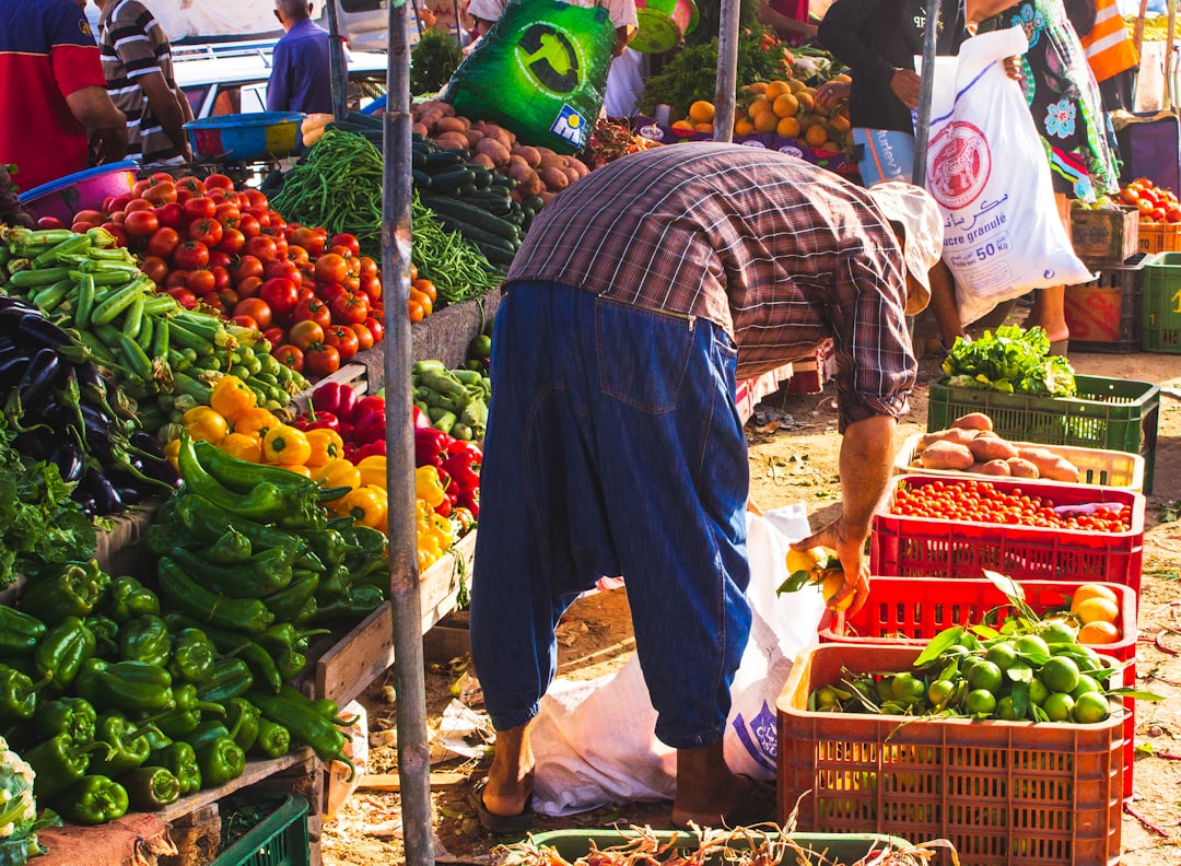 Türkiye’de Sağlıklı Yaşam İçin Yükselen Trend: Bitkisel Beslenmenin Faydaları ve Uygulama Rehberi