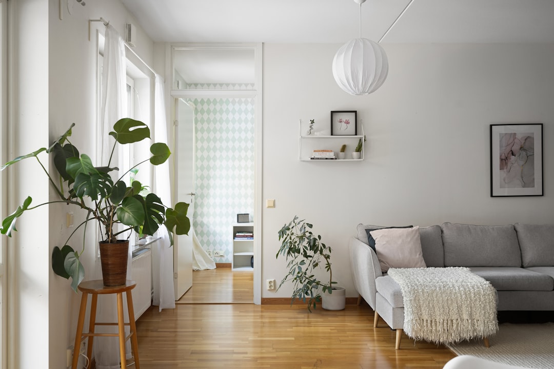 Ev Dekorasyonunda Sürdürülebilir ve Minimalist Yaklaşımlar