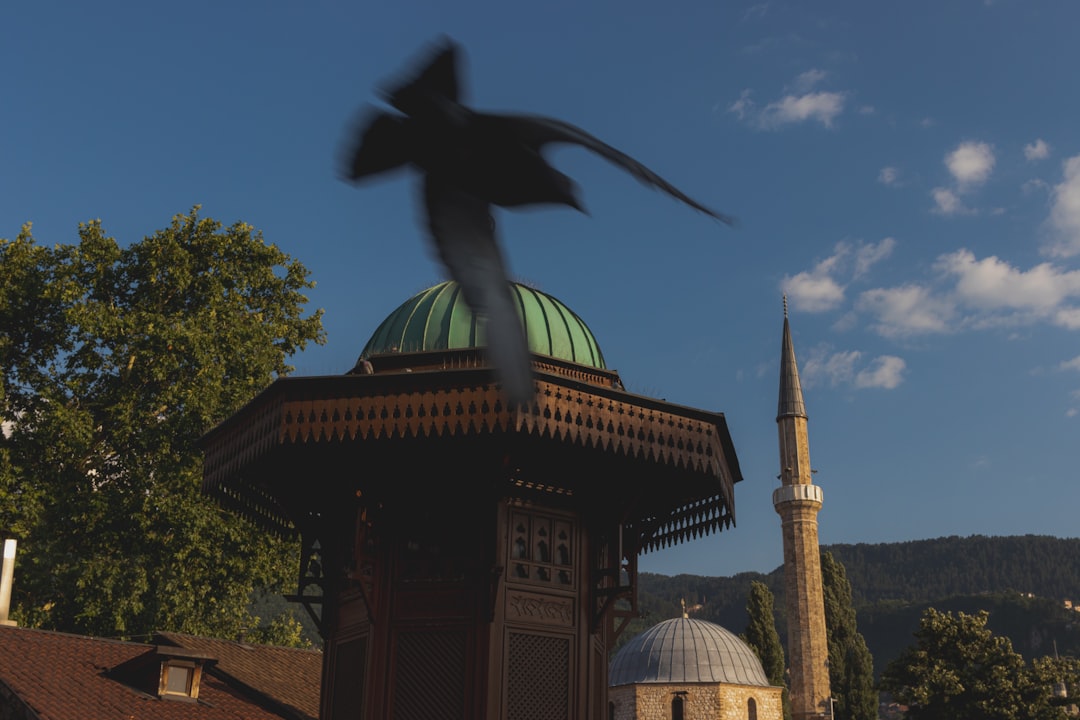 Türk Mitolojisinde Efsanevi Yaratıklar ve Günümüz Sanatına Etkileri