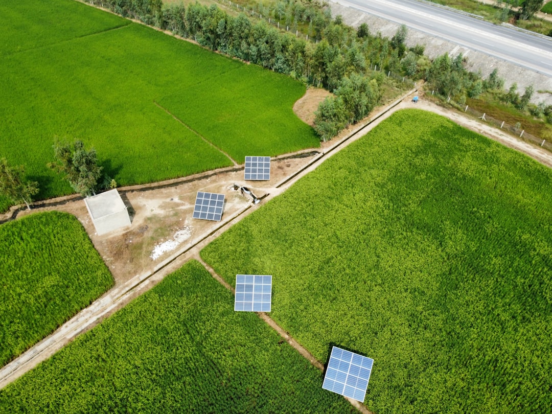 Türkiye’de Öne Çıkan Yeşil Enerji Projeleri ve Gelecek Vizyonları