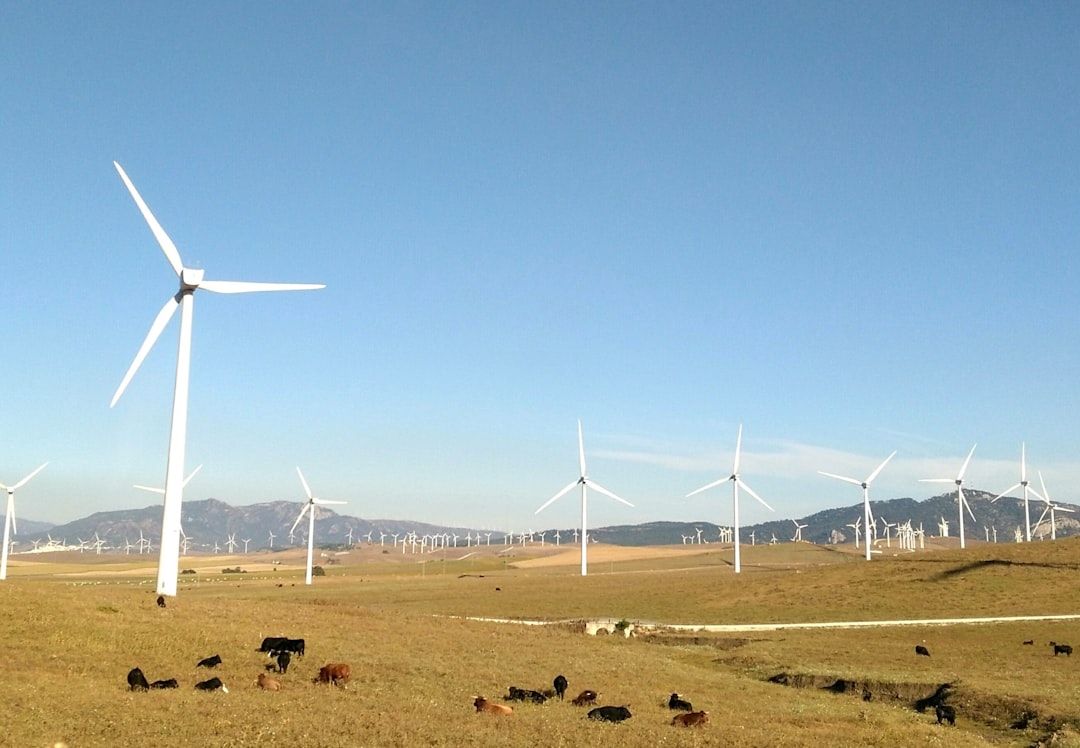 Türkiye’de Geleneksel ve Alternatif Enerji Kaynaklarının Geleceği
