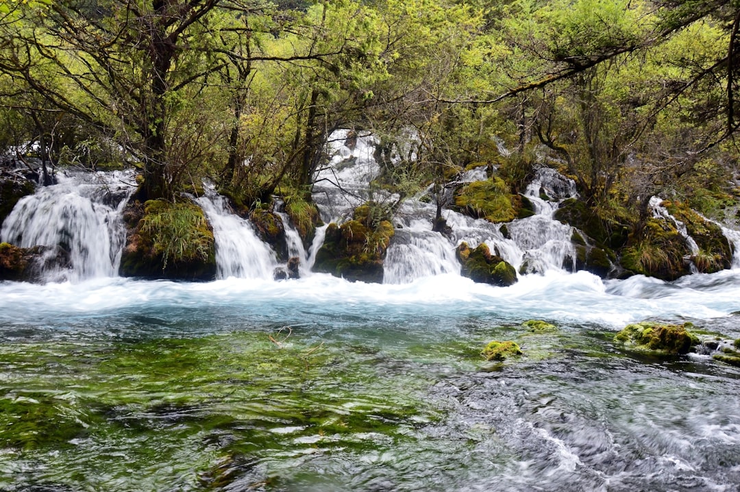 Türkiye’de Doğa İçinde Spa Deneyimleri: Şifa ve Huzur Arayanlara Özel Rehber
